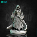 (0310) Female human elf half-orc firbolg tiefling witch sorceress wizard with spell