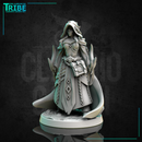 (0310) Female human elf half-orc firbolg tiefling witch sorceress wizard with spell
