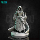 (0310) Female human elf half-orc firbolg tiefling witch sorceress wizard with spell
