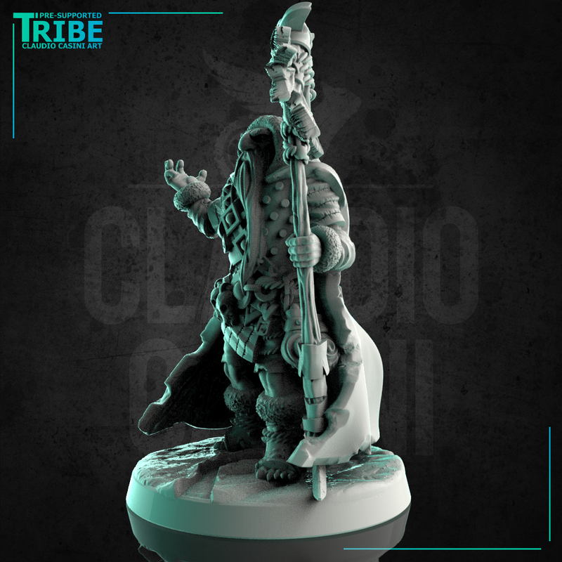 (0252) Male half troll shaman wizard sorceror with magic staff - Only-Games