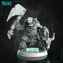 (0269) Male turtle folk barbarian warrior with an axes