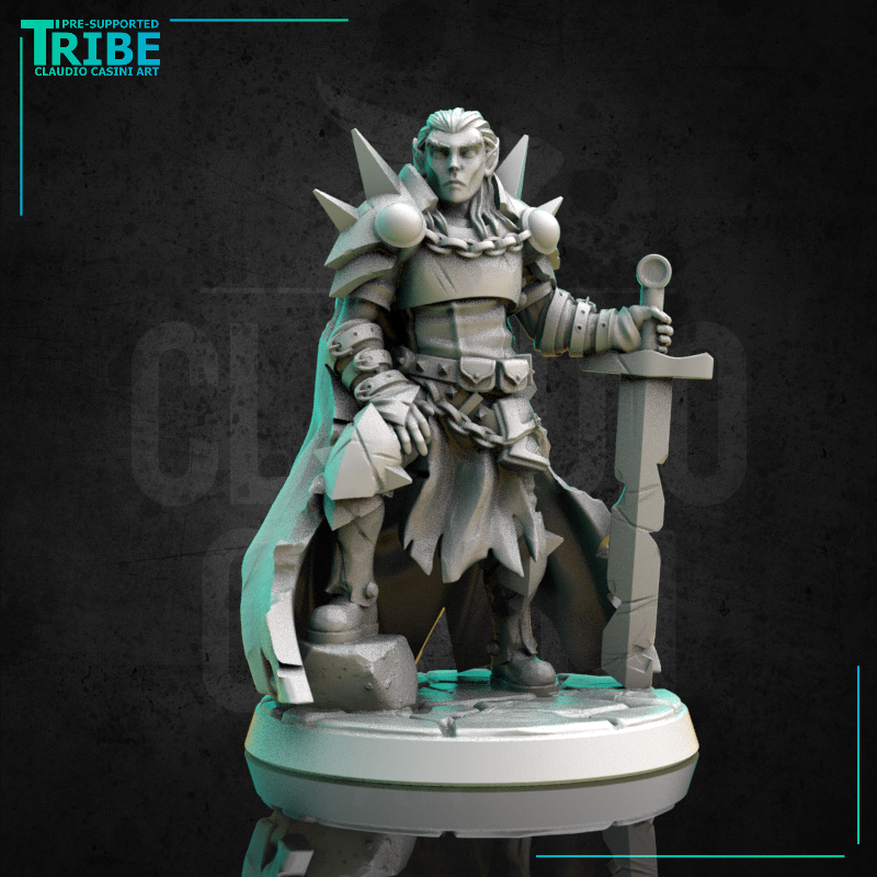 (0286) Male human elf half orc tiefling firbolg paladin warrior cleric with a plate armor and sword - Only-Games