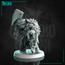 (0269) Male turtle folk barbarian warrior with an axes