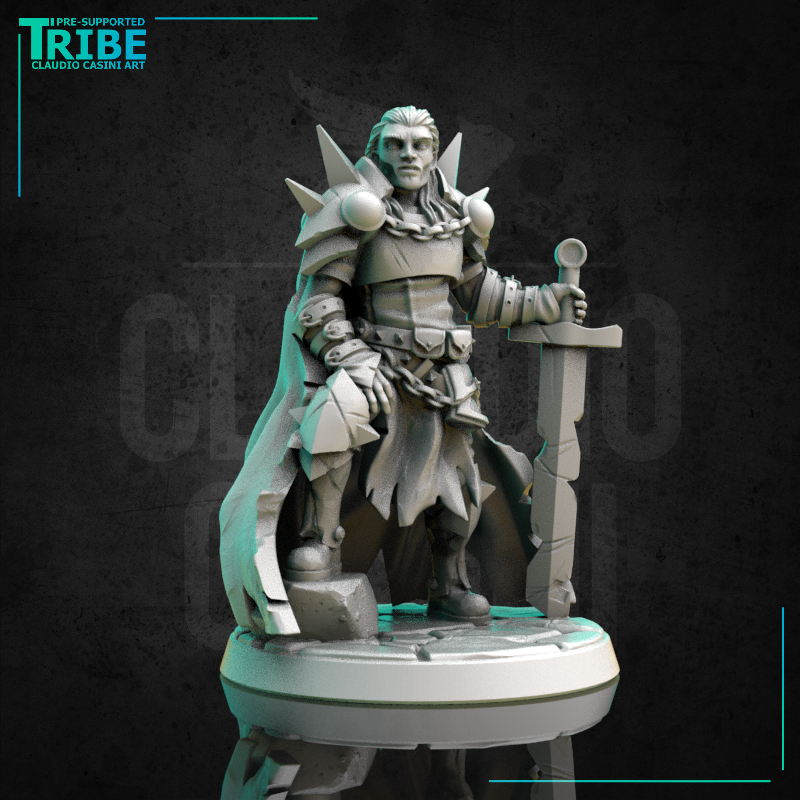 (0286) Male human elf half orc tiefling firbolg paladin warrior cleric with a plate armor and sword - Only-Games