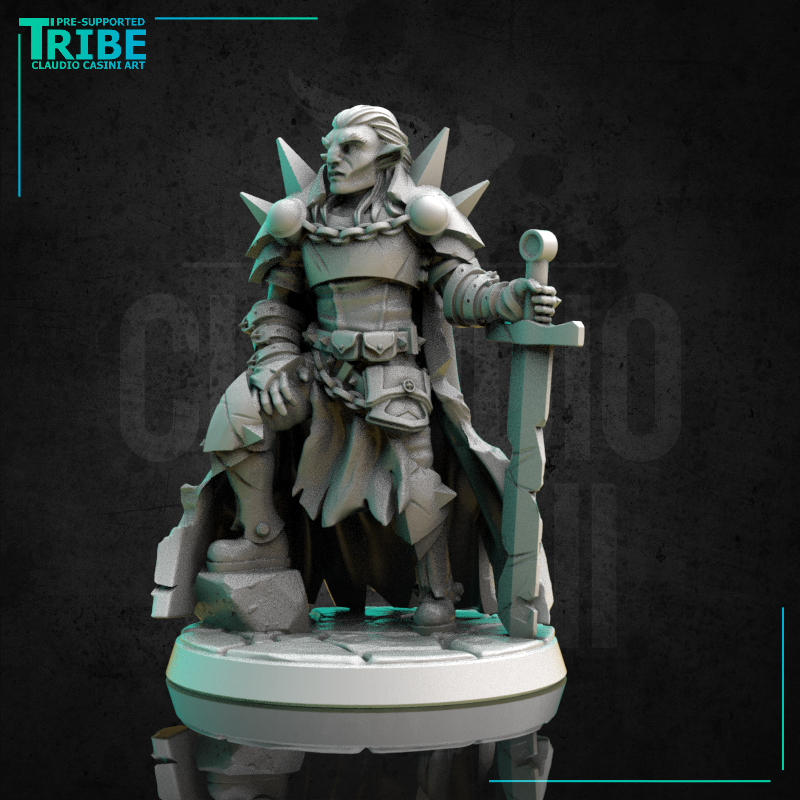 (0286) Male human elf half orc tiefling firbolg paladin warrior cleric with a plate armor and sword - Only-Games