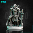 (0286) Male human elf half orc tiefling firbolg paladin warrior cleric with a plate armor and sword - Only-Games