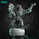 (0311) Male gnoll bard musician with harp