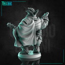 (0272) Male bear folk bard musician with a mandolin