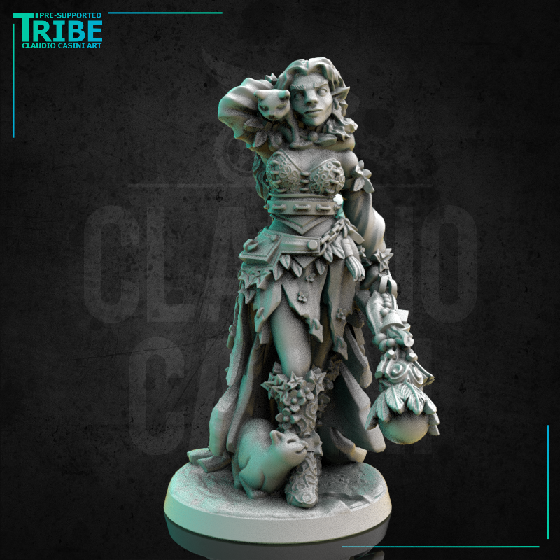(0261) Female druid wizard witch with magic staff and cats familiar - Only-Games