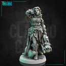 (0261) Female druid wizard witch with magic staff and cats familiar - Only-Games