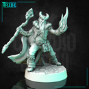 (0318) Male  human elf tiefling half-orc firbolg druid with staff and magic fire