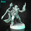 (0318) Male  human elf tiefling half-orc firbolg druid with staff and magic fire
