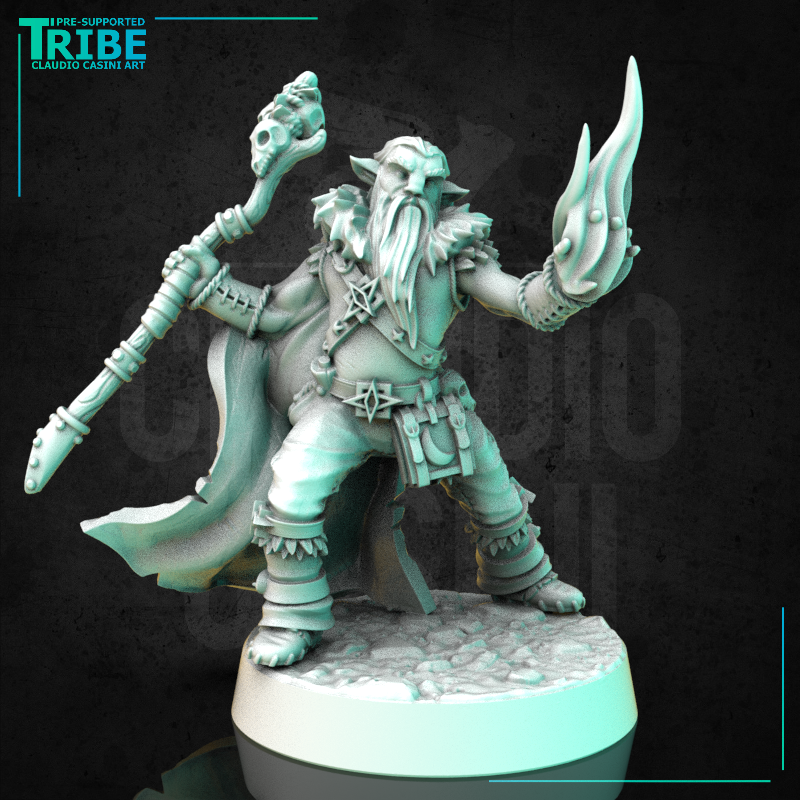 (0318) Male  human elf tiefling half-orc firbolg druid with staff and magic fire