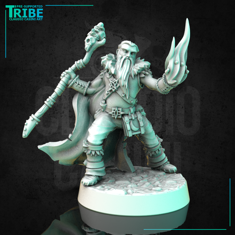 (0318) Male  human elf tiefling half-orc firbolg druid with staff and magic fire