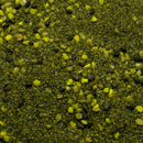 Base Ready Arborian Earth - Only-Games