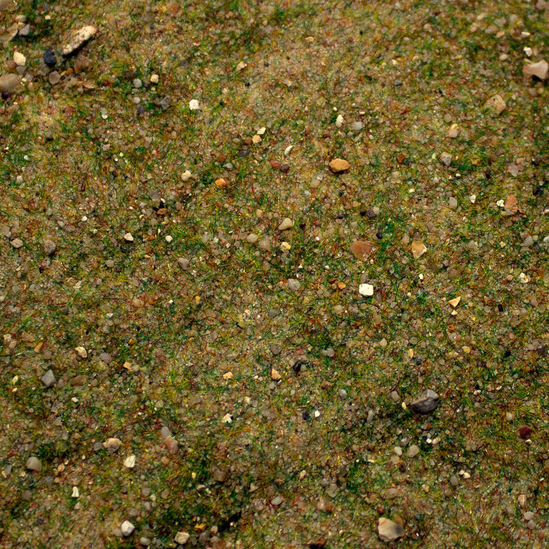 Base Ready Fields Of New Zealand - Only-Games