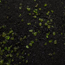 Base Ready Grimdark Tomb World - Only-Games