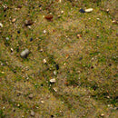 Base Ready Mediterranean Soil - Only-Games