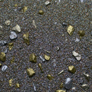 Base Ready Shining Gold - Only-Games