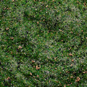 Base Ready Taiga Hillside - Only-Games