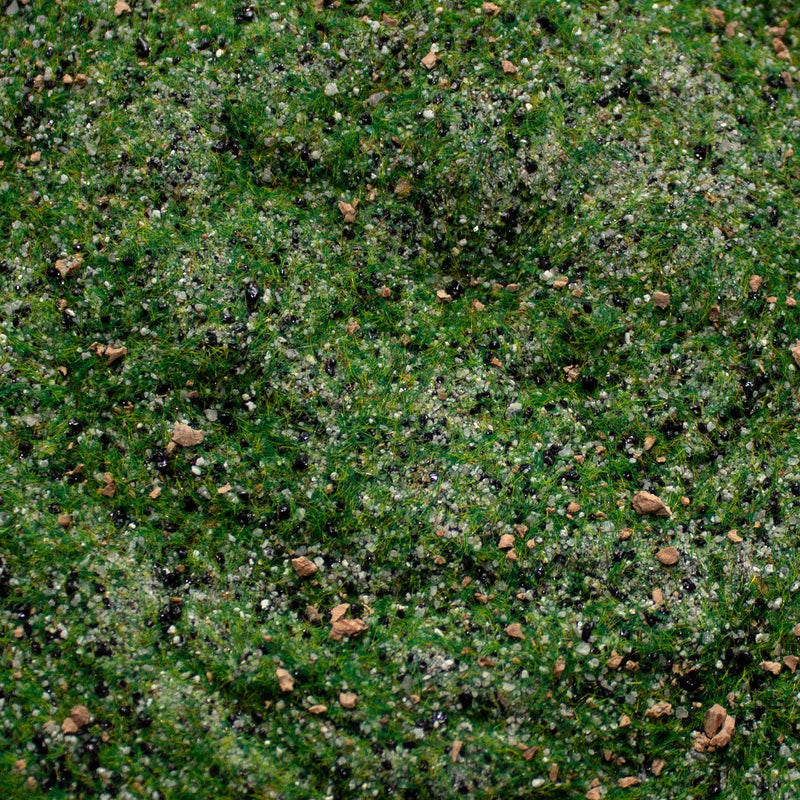 Base Ready Taiga Hillside - Only-Games