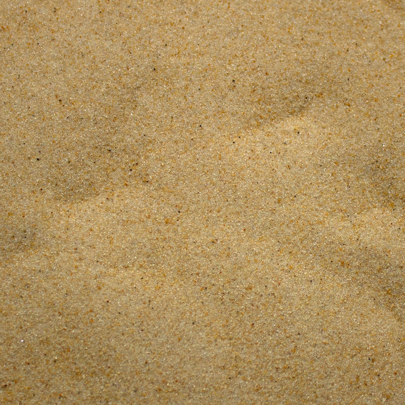 Base Ready Tropical Beach - Only-Games