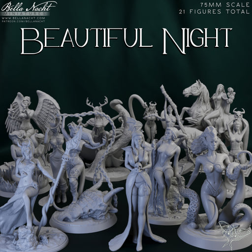 The Beautiful Night Campaign Pack - Only-Games