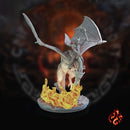 Black Dragon Rider 1