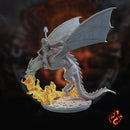 Black Dragon Rider 1