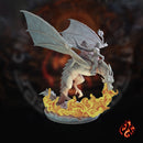 Black Dragon Rider 1