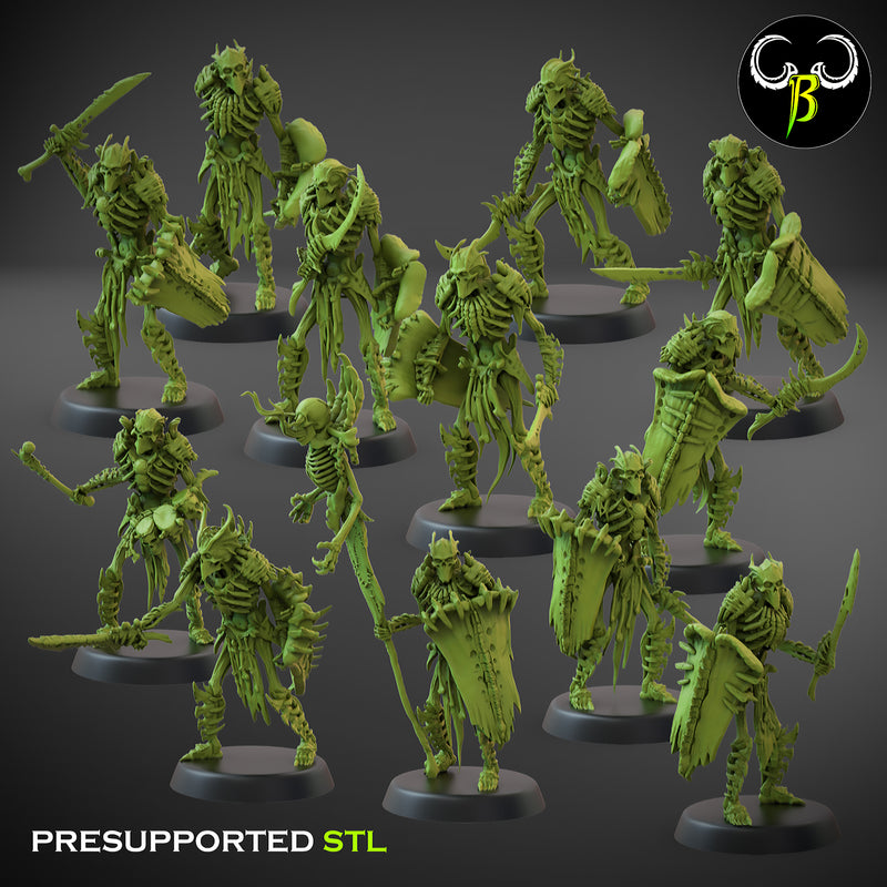 BoneGuards Shield squad