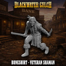 Boneshirt - Veteran Shaman