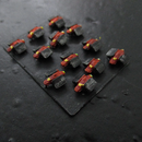 PH002 Byraxin Raider
