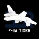 F-11A Tiger (Clean) - Only-Games