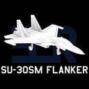 Su-30SM Flanker H (Clean) - Only-Games