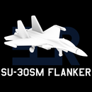 Su-30SM Flanker H (Clean) - Only-Games