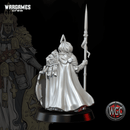 Chewa Holy Templar