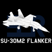 Su-30M2 Flanker F2 (Clean) - Only-Games