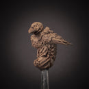 Crub - Crow Grub - Only-Games