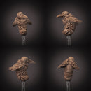 Crub - Crow Grub - Only-Games