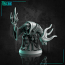 (0264) Male lizard man folk summoner shaman wizard with a magic stick and spell - Only-Games