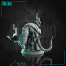 (0264) Male lizard man folk summoner shaman wizard with a magic stick and spell - Only-Games