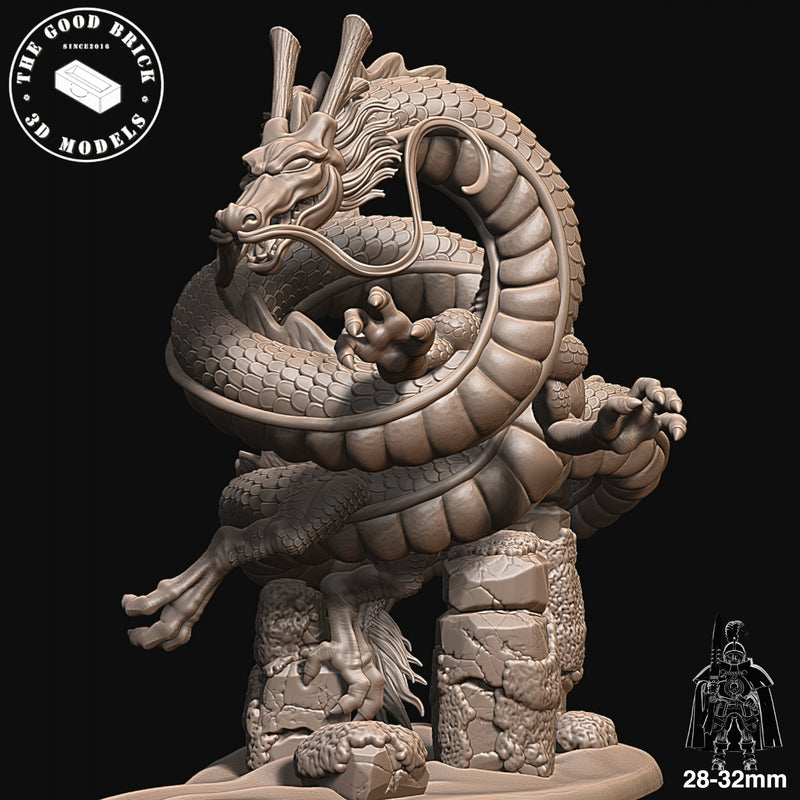 Shen-Long - Shenron - The Jade Empire - 28/32mm