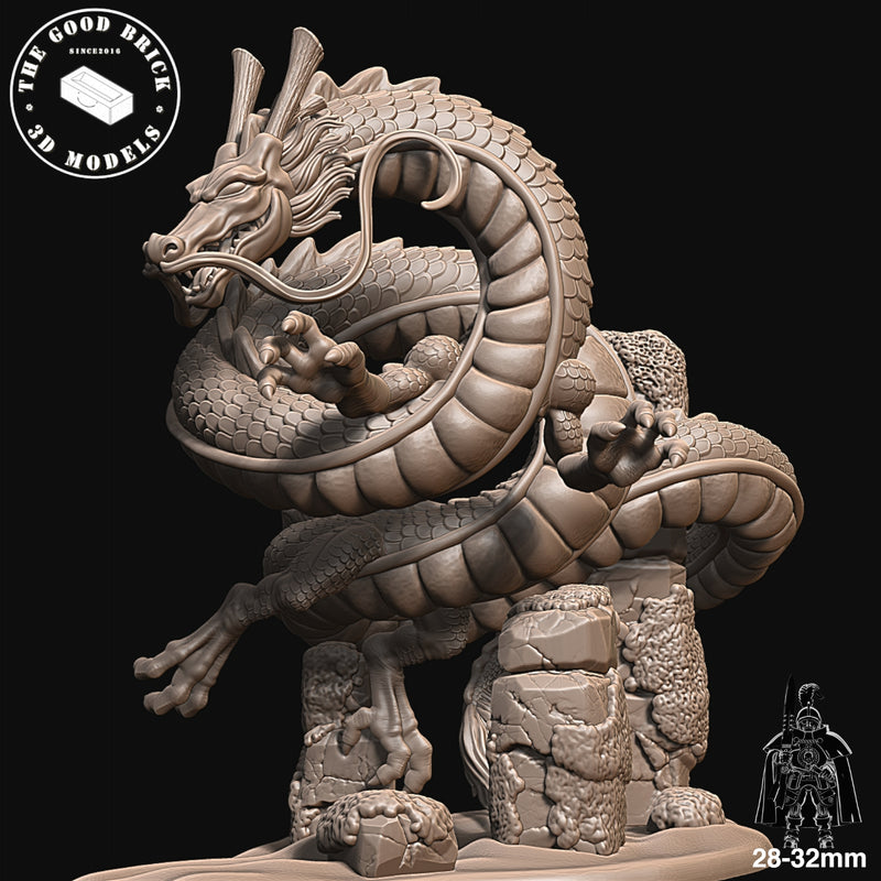 Shen-Long - Shenron - The Jade Empire - 28/32mm