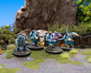 Clash of Rhyfles: Toulmore Rhyflers