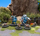 Clash of Rhyfles: Toulmore Command Specialists