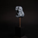 Metamorph