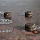 Island Defense Pill Box (x24) - Only-Games