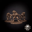 Void Beasts - Trio