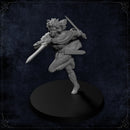 Arcstone Companions - Adventurer Trio